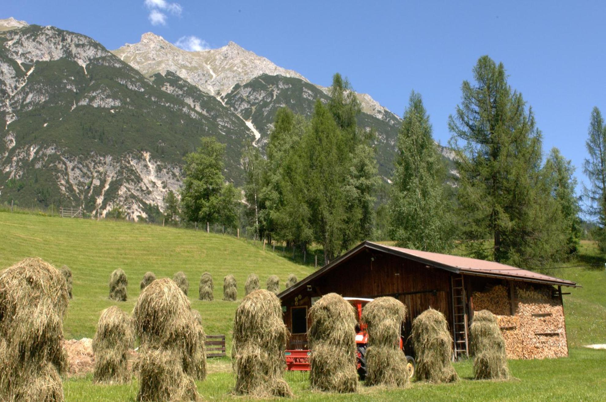 Haus Elisengrund Am Geigenbuehel - Chalet Prive Seefeld in Tirol Buitenkant foto